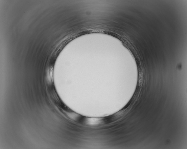 X0000115080095200912081221