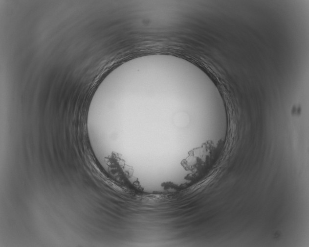 X0000115080096200912081221