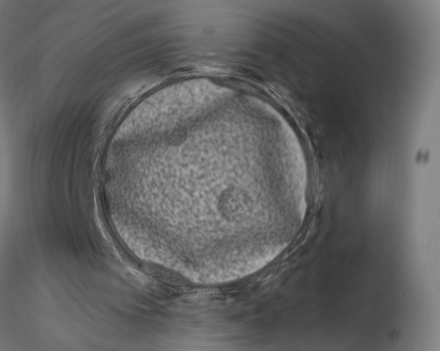 X0000115080097200912081221