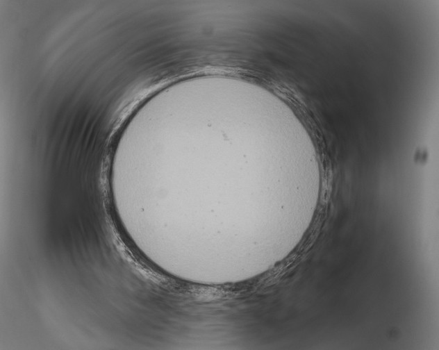 X0000115080098200912081221