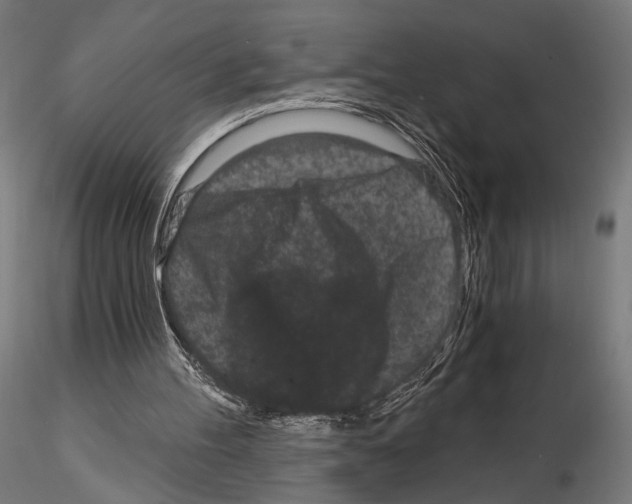 X0000115080100200912081221