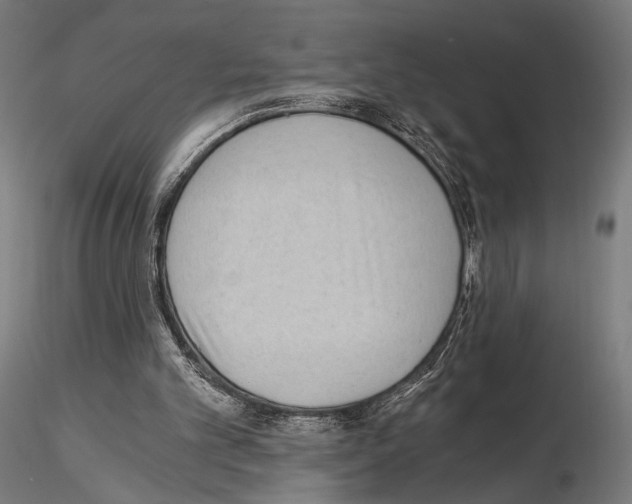 X0000115080101200912081221