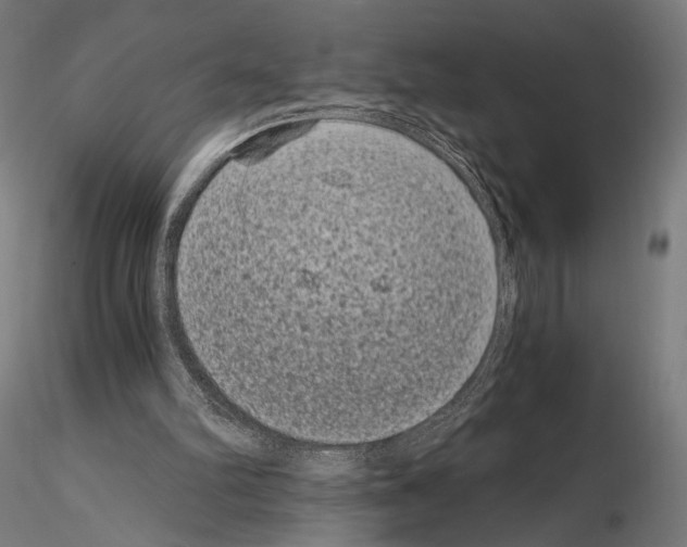 X0000115080102200912081221