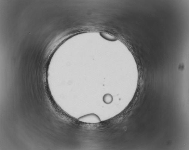 X0000115080103200912081221