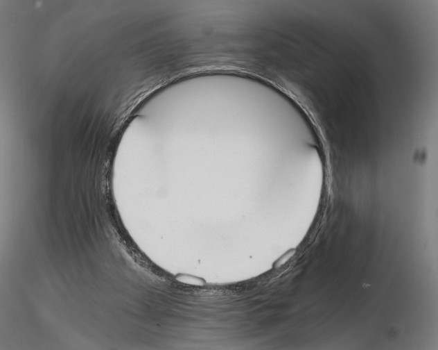 X0000115080105200912081220