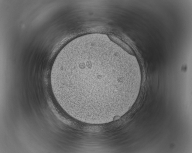 X0000115080106200912081220