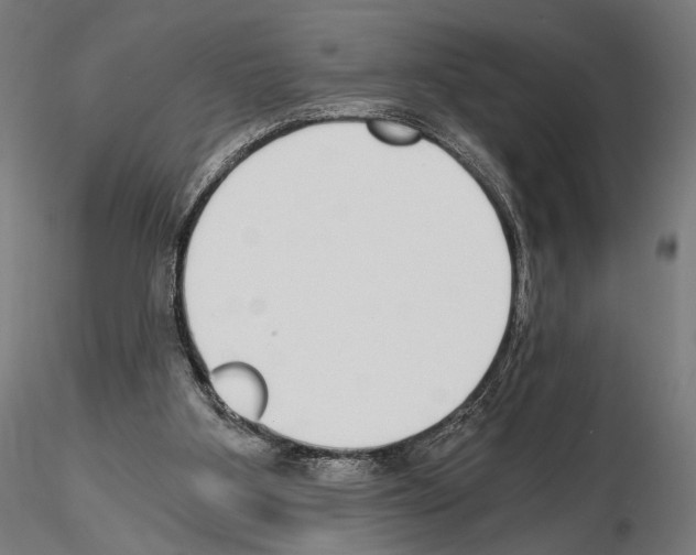 X0000115080107200912081220