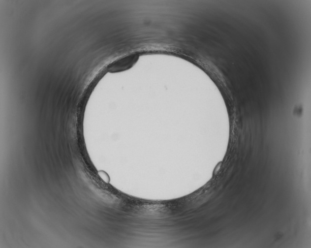 X0000115080108200912081220