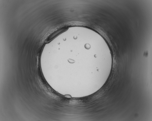 X0000115080109200912081220