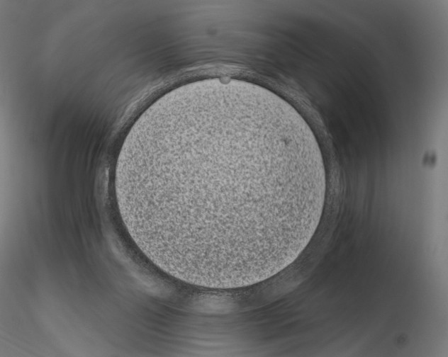 X0000115080110200912081220