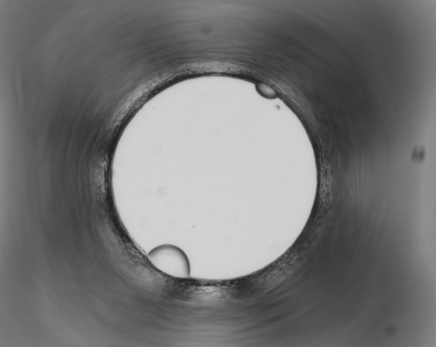 X0000115080111200912081220