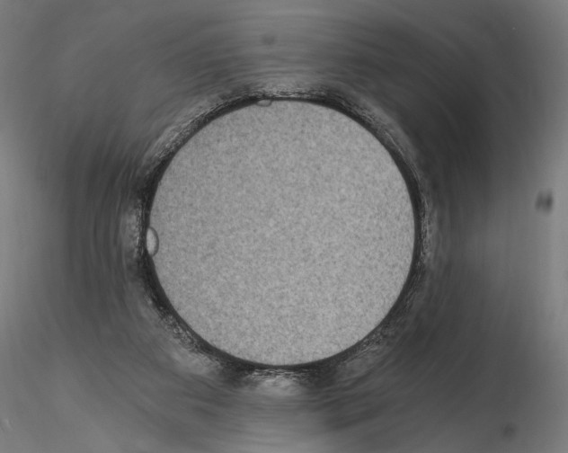 X0000115080113200912081220