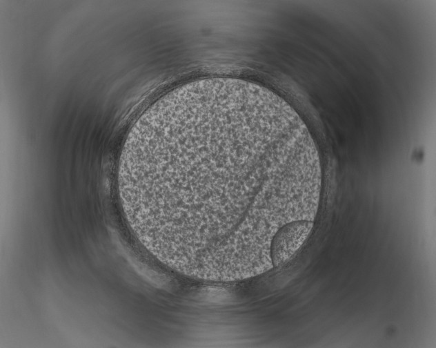 X0000115080114200912081220