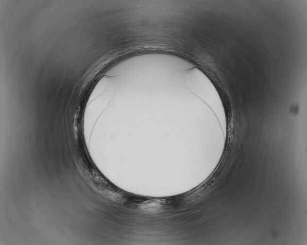 X0000115080116200912081220