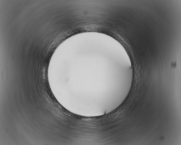 X0000115080117200912081220