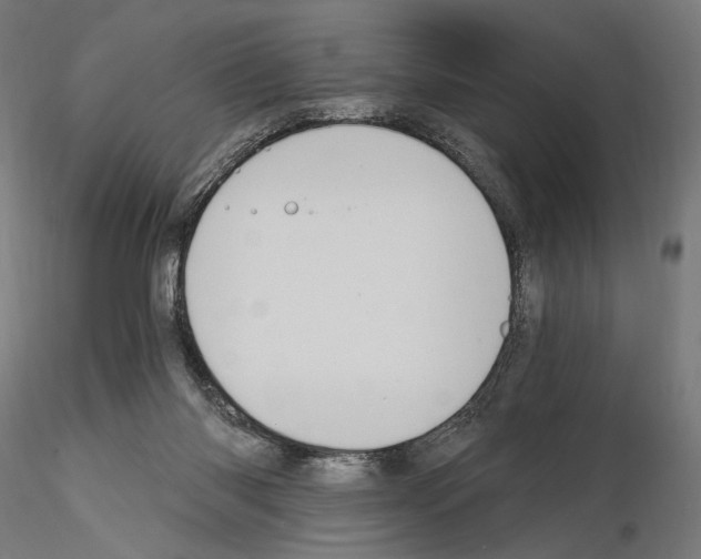 X0000115080118200912081220