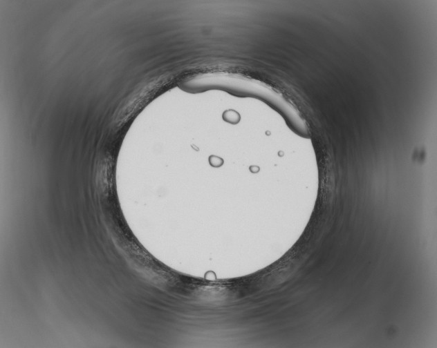 X0000115080119200912081220