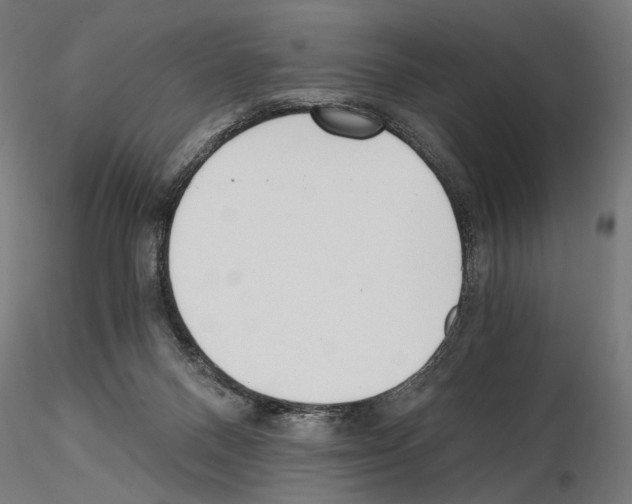 X0000115080120200912081220