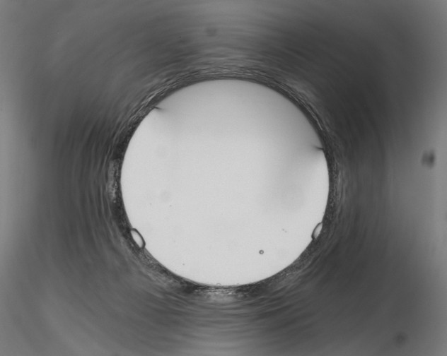 X0000115080121200912081220