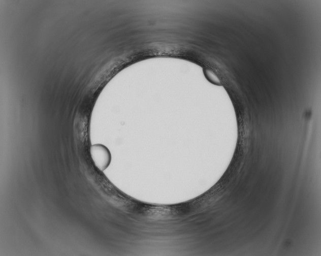 X0000115080123200912081220