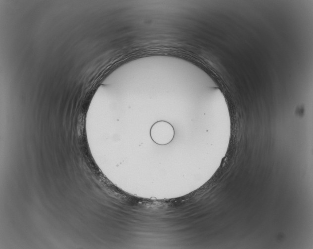 X0000115080125200912081220