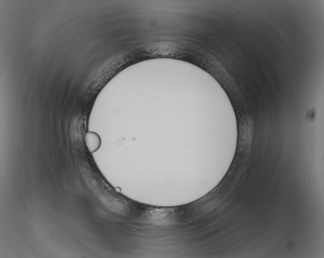 X0000115080126200912081220