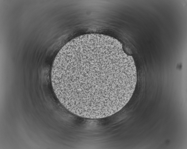 X0000115080127200912081220