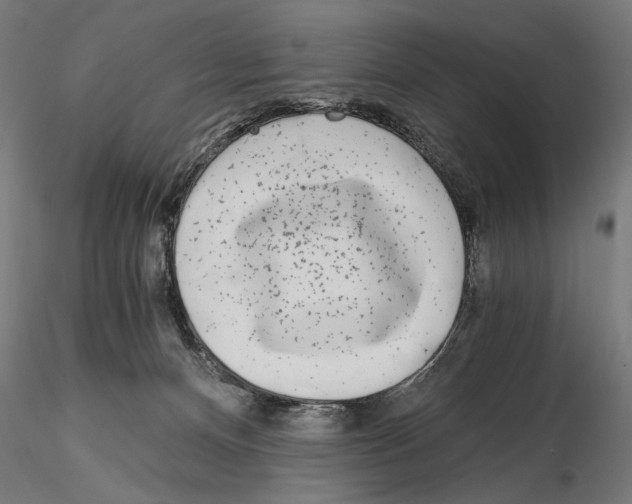 X0000115080128200912081220