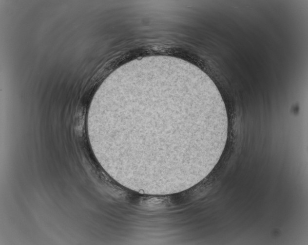 X0000115080129200912081220