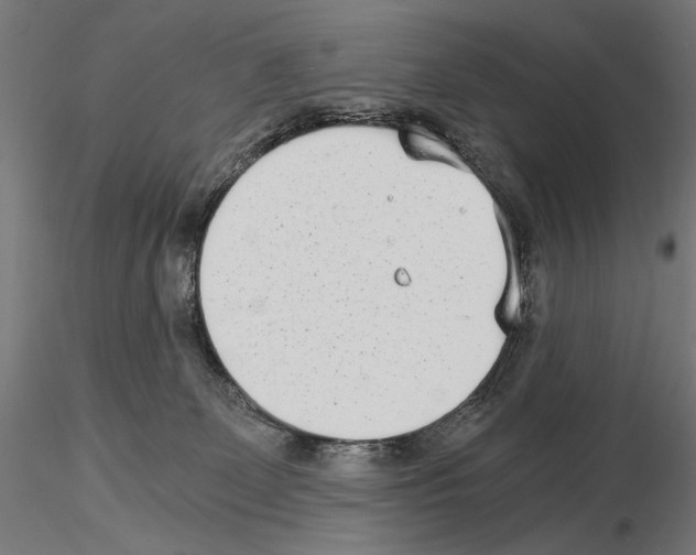 X0000115080131200912081220