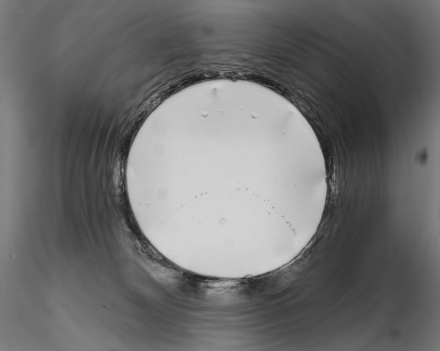 X0000115080132200912081220