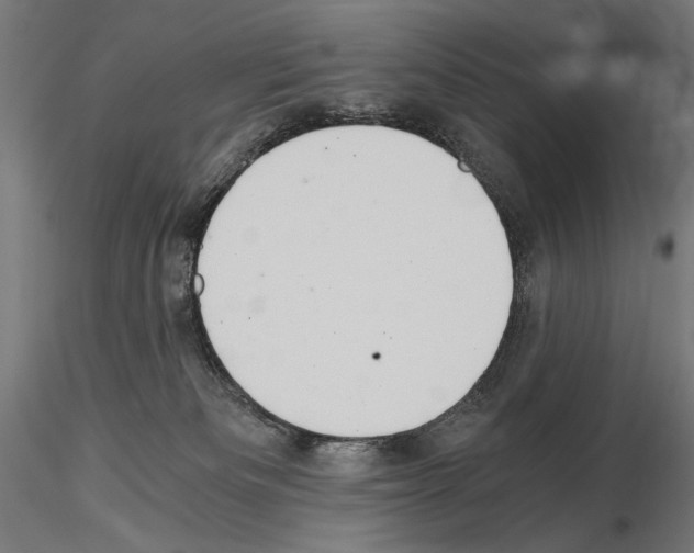 X0000115080133200912081220