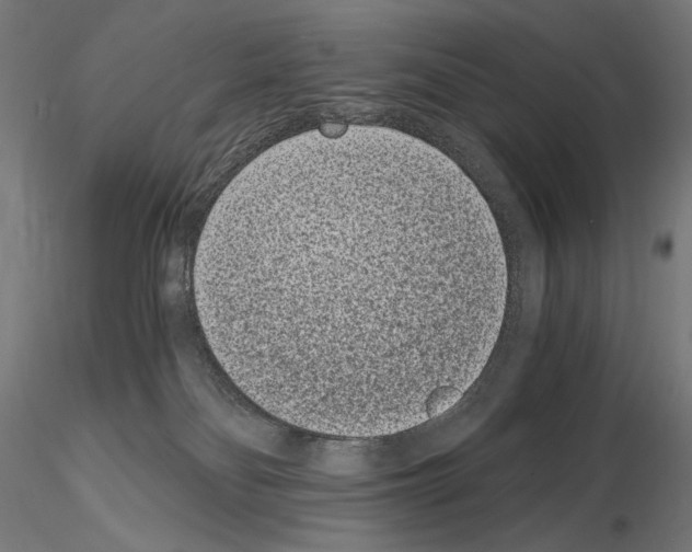 X0000115080134200912081220