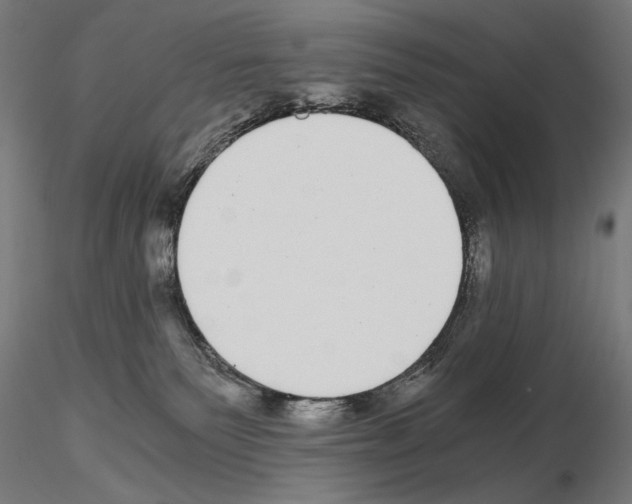 X0000115080135200912081220