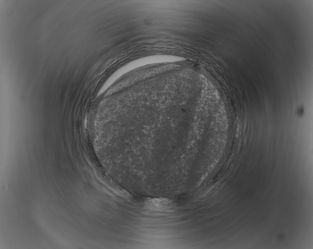 X0000115080137200912081220