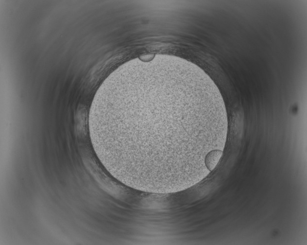 X0000115080138200912081220