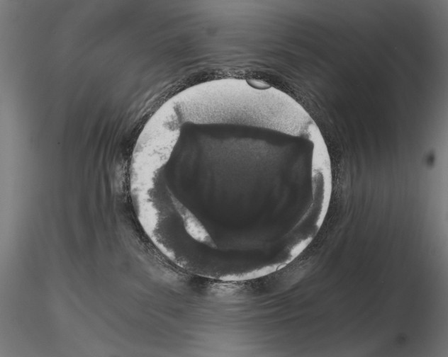 X0000115080139200912081220