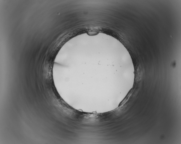 X0000115080140200912081220