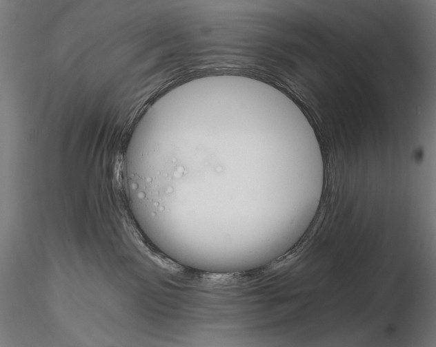 X0000115080141200912081220