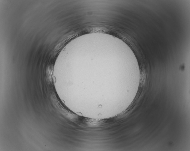 X0000115080142200912081220