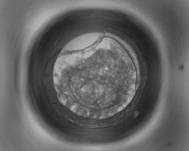 X0000115080143200912081220