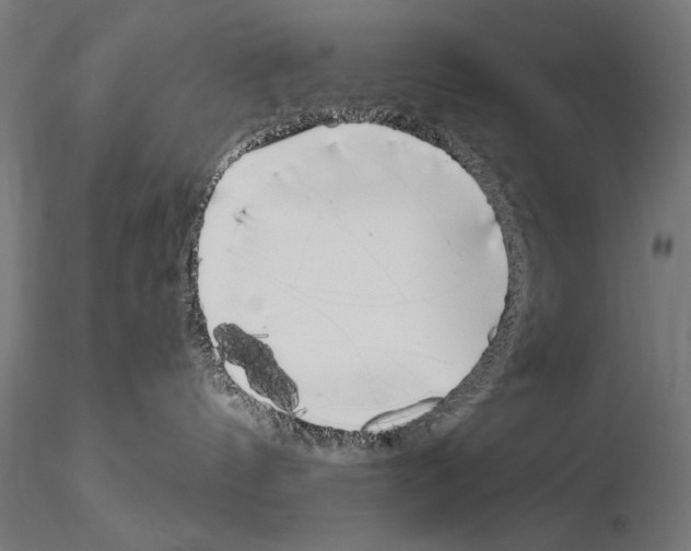 X0000115080144200912081220