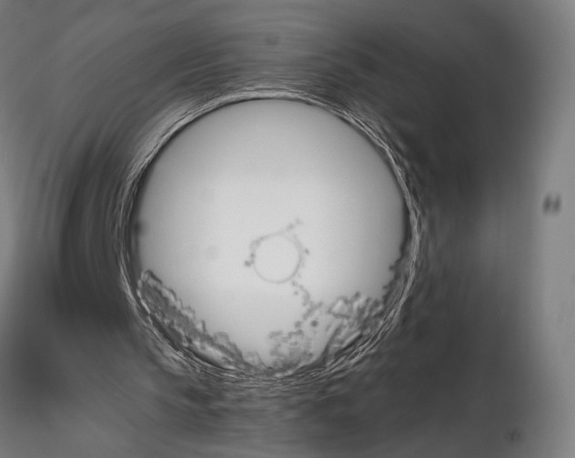 X0000115080145200912081219