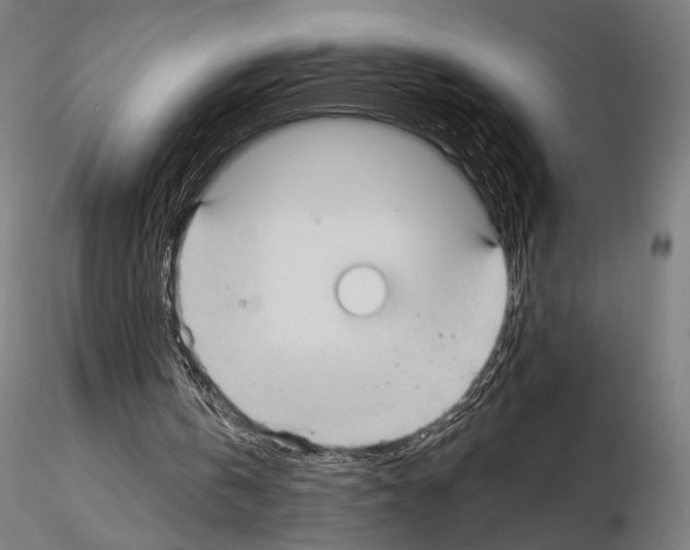 X0000115080146200912081219