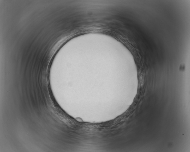 X0000115080147200912081219