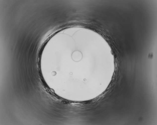 X0000115080150200912081219