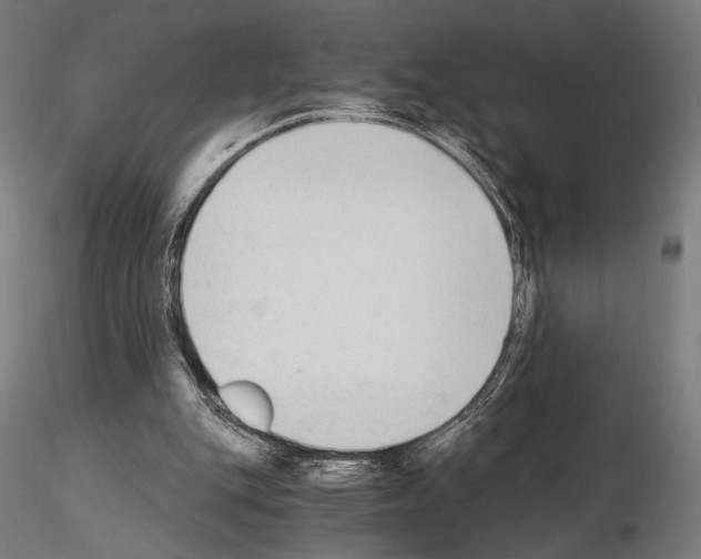 X0000115080151200912081219