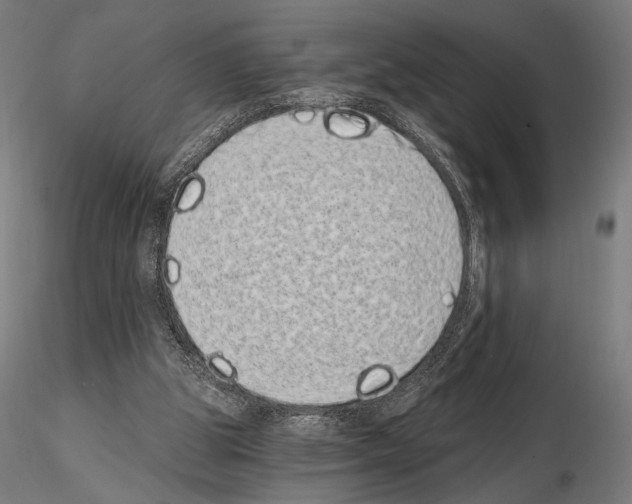 X0000115080153200912081219