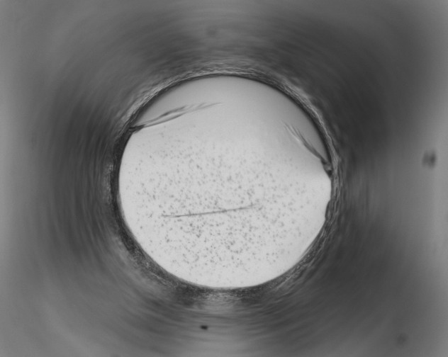 X0000115080154200912081219