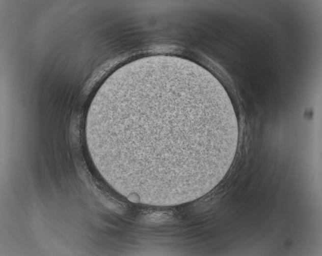 X0000115080155200912081219